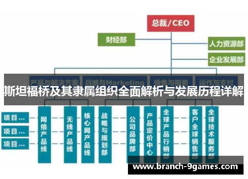 斯坦福桥及其隶属组织全面解析与发展历程详解