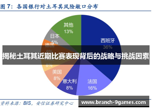 揭秘土耳其近期比赛表现背后的战略与挑战因素