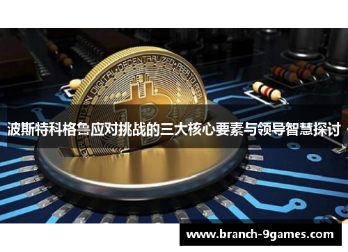 波斯特科格鲁应对挑战的三大核心要素与领导智慧探讨