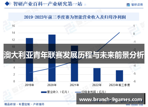 澳大利亚青年联赛发展历程与未来前景分析 澳大利亚青年联赛发展历程与未来前景分析
