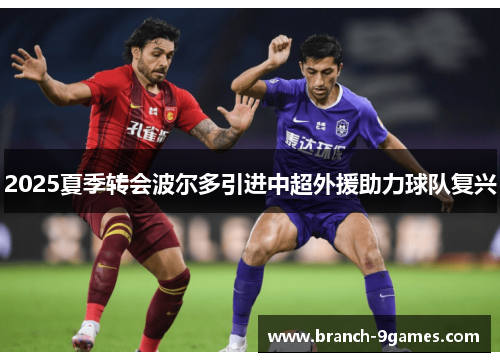 2025夏季转会波尔多引进中超外援助力球队复兴 2025夏季转会波尔多引进中超外援助力球队复兴